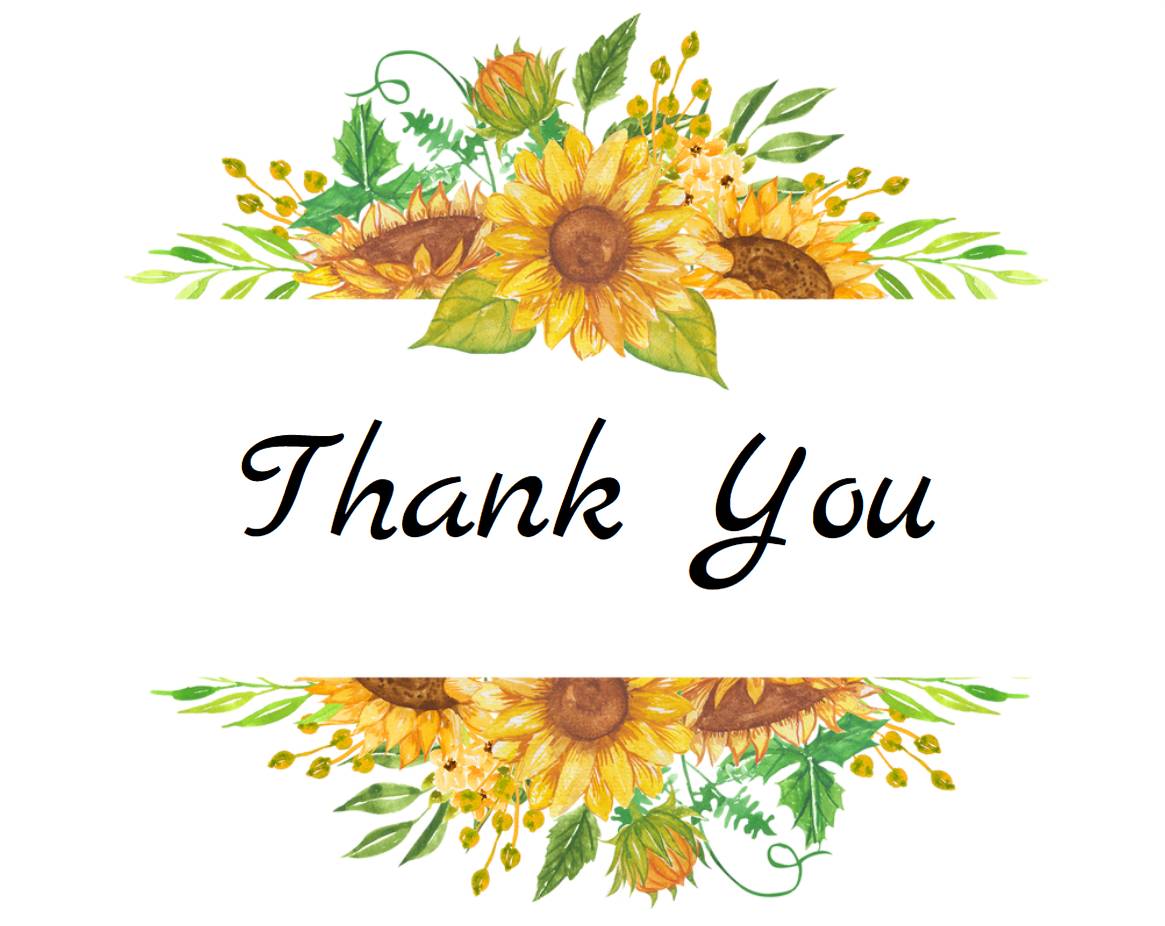 Thank You Sunflowers | Assorted Succulents | Wedding | Baby Shower Succulent Favor | Gifts | Self Care | Luxury | Corporate | Unique | Birthday | Party Favor | Succulent Gift - Image 2