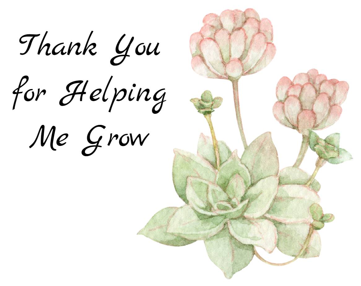 Thank You for Helping Me Grow Succulents | Assorted Succulents | Wedding | Baby Shower Succulent Favor | Gifts | Self Care | Luxury | Corporate | Unique | Birthday | Party Favor | Succulent Gift - Image 2