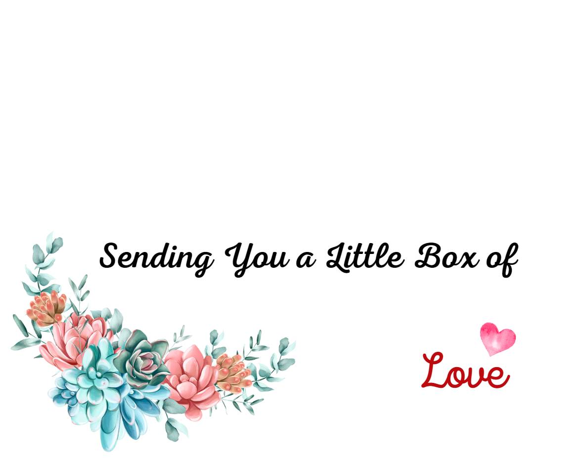 Sending You a Little Box of Love | Assorted Succulents | Wedding | Baby Shower Succulent Favor | Gifts | Self Care | Luxury | Corporate | Unique | Birthday | Party Favor | Succulent Gift - Image 2