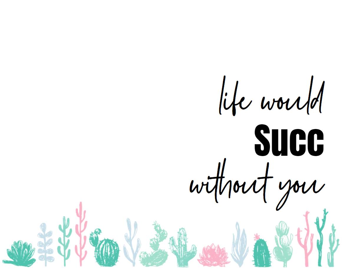 Life Would Succ Without You | Assorted Succulents | Wedding | Baby Shower Succulent Favor | Gifts | Self Care | Luxury | Corporate | Unique | Birthday | Party Favor | Succulent Gift - Image 2
