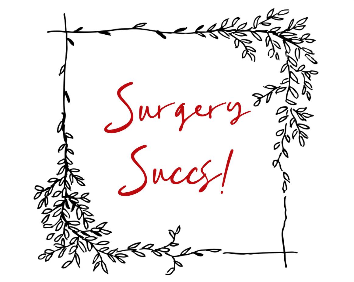 Surgery Succs! | Assorted Succulents | Wedding | Baby Shower Succulent Favor | Gifts | Self Care | Luxury | Corporate | Unique | Birthday | Party Favor | Succulent Gift - Image 2