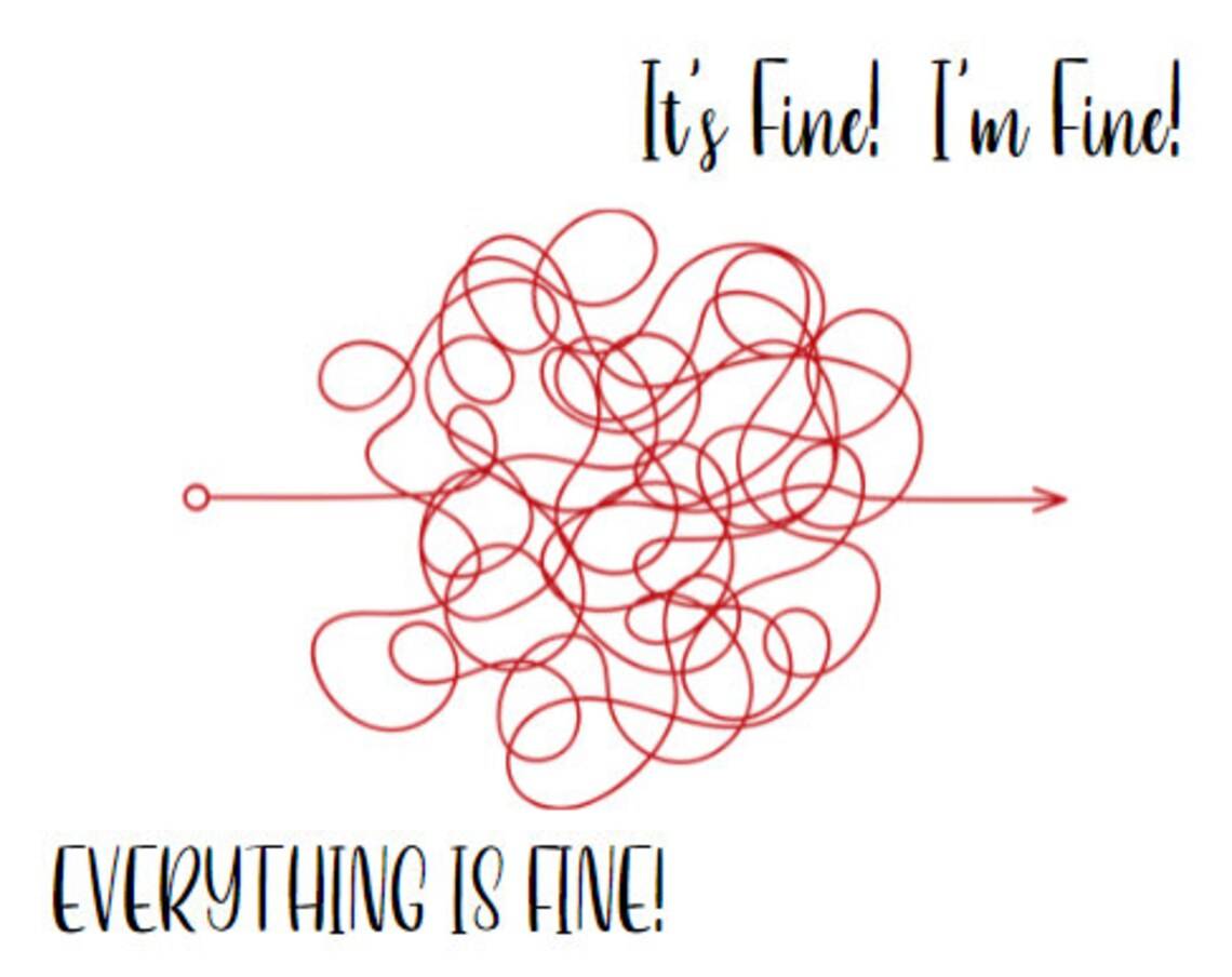 It's Fine! I'm Fine! Everything is fine! | Assorted Succulents | Wedding | Baby Shower Succulent Favor | Gifts | Self Care | Luxury | Corporate | Unique | Birthday | Party Favor | Succulent Gift - Image 2