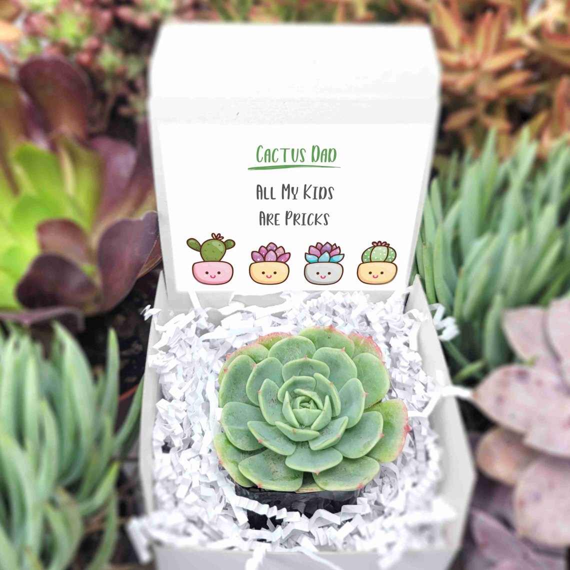 Cactus Dad All My Kids Are Pricks | Assorted Succulents | Wedding | Baby Shower Succulent Favor | Gifts | Self Care | Luxury | Corporate | Unique | Birthday | Party Favor | Succulent Gift